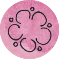 Blume
