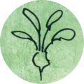 Radiesli